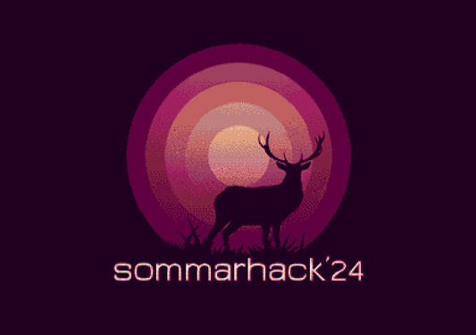 At the Scene: Sommarhack 2024